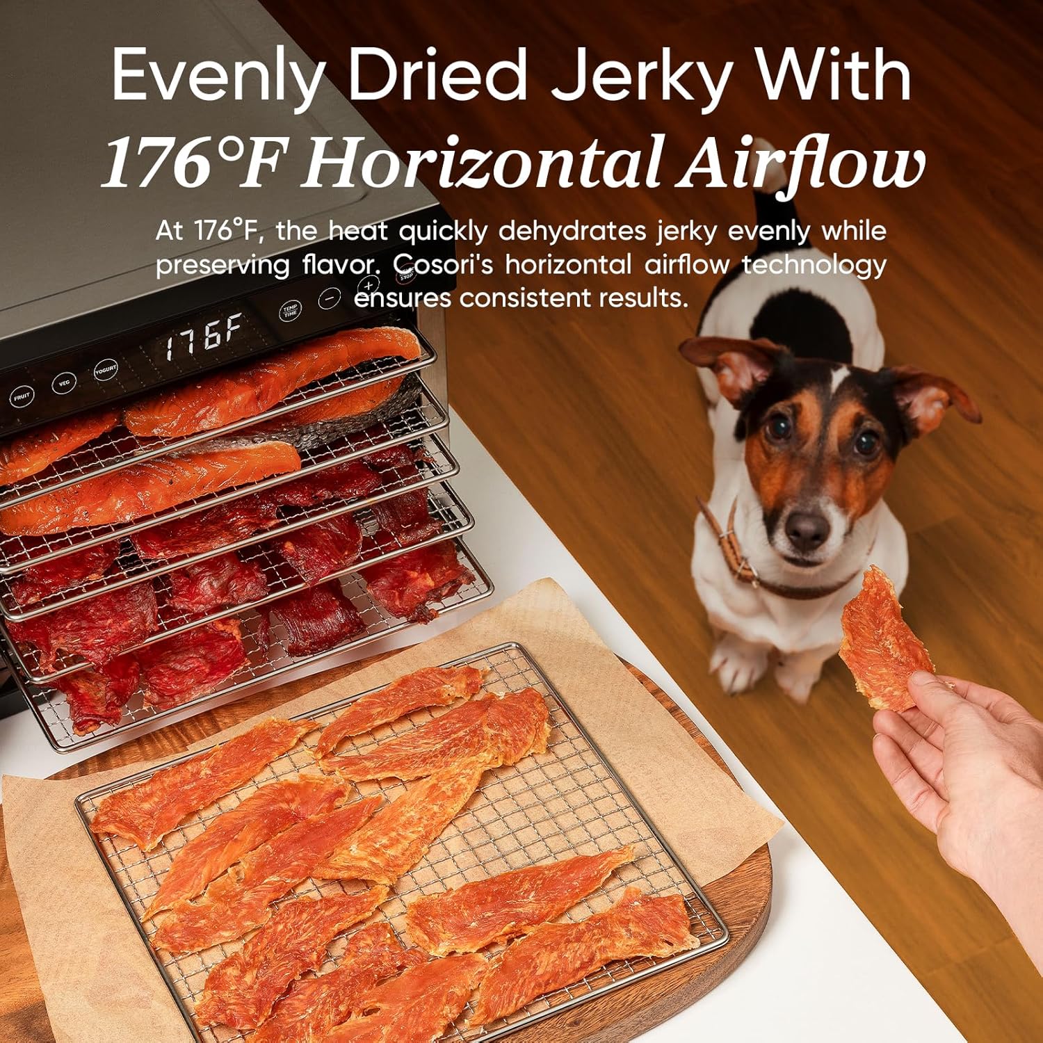 COSORI Food Dehydrator for Jerky, 176°F Temperature Control, 5 Stainless Steel Trays Dryer Machine, 4 Presets, 48H Timer, for Dog Treats, Meat, Fruit, Veggies, Snacks, Recipe Book Included